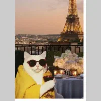 آموزش انلاین زبان انگلیسی