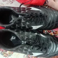 استوک