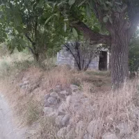 فروش-باغ-میوه50ساله-در-اطراف-مراغه
