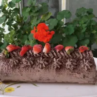 سفارش کیک های کافه ای ، عصرانه و انواع چیز کیک