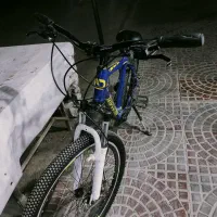 دوچرخه 24 حرفه ای نو لاورقی