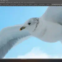 فروش سیم کارت