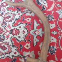 شاخ برای دسته چاقو|کلکسیون اشیاء عتیقه|قزوین, |دیوار