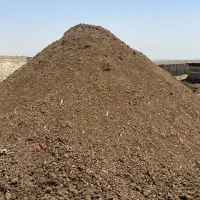 کود مرغی .قفسی .سالنی
