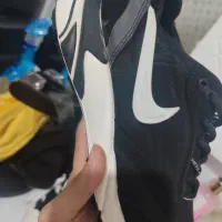 کتونی|کیف، کفش، کمربند|سبزوار, قصبه شرقی|دیوار