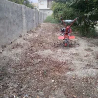 کار|خدمات باغبانی و درختکاری|گرگان, |دیوار