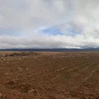 ۱۰ هکتارزمین کشاورزی دهبید