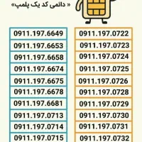 0911.504.8575