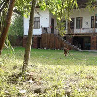 اجاره روزانه/هفتگی/ماهانه ویلا ۱۳۰ متری در طالقانی