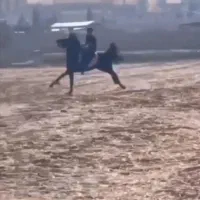 اسب نر عرب سرحال برازجان|اسب و تجهیزات اسبسواری|برازجان, |دیوار