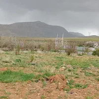 باغ-گرم-آباد