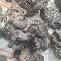 مشکوک به شهاب سنگ