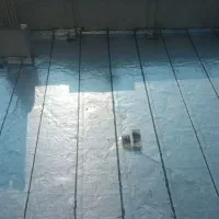 فروش اجرا انواع ایزوگام|خدمات پیشه و مهارت|شاهینشهر, خانه کارگر|دیوار