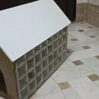 واگذاری خرگوش|موش و خرگوش|قم, پردیسان|دیوار