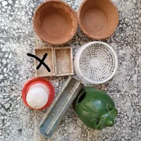 لوازم کبوتر و جفتگاه پرنده