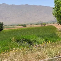 فروش زمین کشاورزی|فروش دفتر صنعتی، کشاورزی، تجاری|اراک, |دیوار