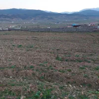 دو قطعه زمین با متراژ ۳۲۵ مترمربع در روستای وری
