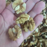 گردو برنج و لوبیا درجه یک الموت