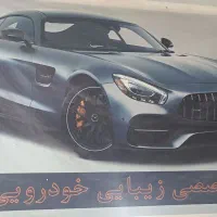 نیرو شاگرد پولیشکار و نقاش