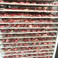 تشویقی طبیعی فله|لوازم جانبی حیوانات|تهران, تهرانپارس جنوبی|دیوار