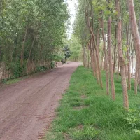 زمین-بولوار-جمهوری