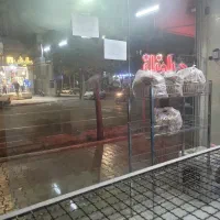 فروشنده خانم