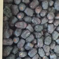 خرما|عمده‌فروشی|چابهار, |دیوار