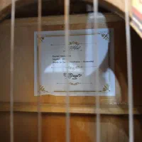 گیتار کلاسیک|گیتار، بیس، امپلیفایر|سلماس, |دیوار