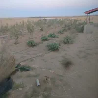 دو-ساعت-آب-کشاورزی-مدار-به-12