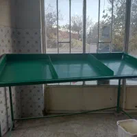 قفسه میوه(شلف)|فروشگاه و مغازه|دماوند, گیلاوند|دیوار