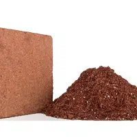 کوکوپیت درجه یک قالبی