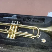 ساز ترومپت نو فرانسوی|سازهای بادی|کرمان, |دیوار