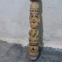 تنه دوسیب دوساله