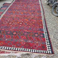 فرش دستباف و گلیم|فرش|سراب, |دیوار