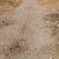 زمین-کلنگی