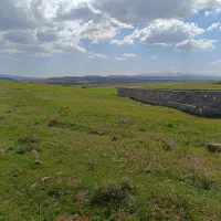 زمین باغی