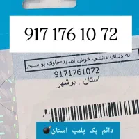 917.176.10.72