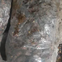 خرما ضایعات خرما|عمدهفروشی|لار, |دیوار