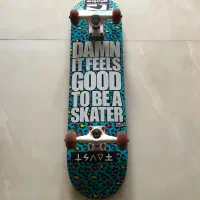 فروش اسکیت برد آمریکایی برند blind کم استفاده شده