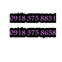 0918-375-8831