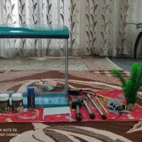 آکواریوم