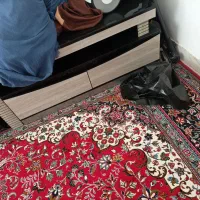 میز تلوزیون سالم