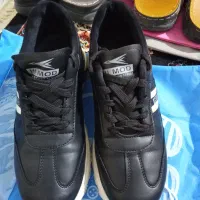 کفش کار مردونه، صندل، کتونی زنونه