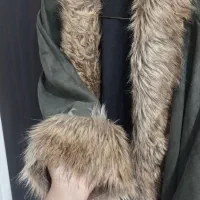 پالتو