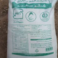 شکر سفید