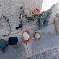 اکواریون|ماهی|رفسنجان, |دیوار