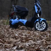 موتور برقی دایچی