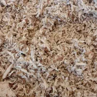 تفاله چقندر