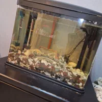 اکواریوم مکانیزه ماهیران