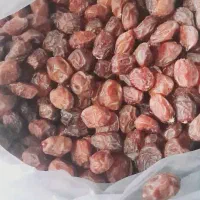 خرما خاصیو